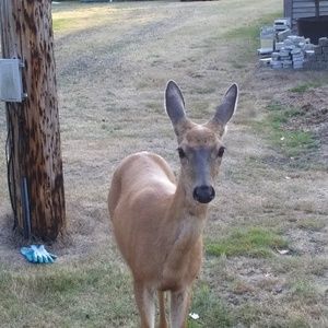 Meet your Posher, Kathleen